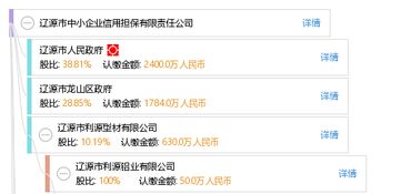遼源市中小企業(yè)信用擔(dān)保有限責(zé)任公司